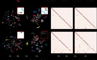 细胞元科技 科学家打造元细胞推断方法MetaQ，让百万级测序数据分析成为可能